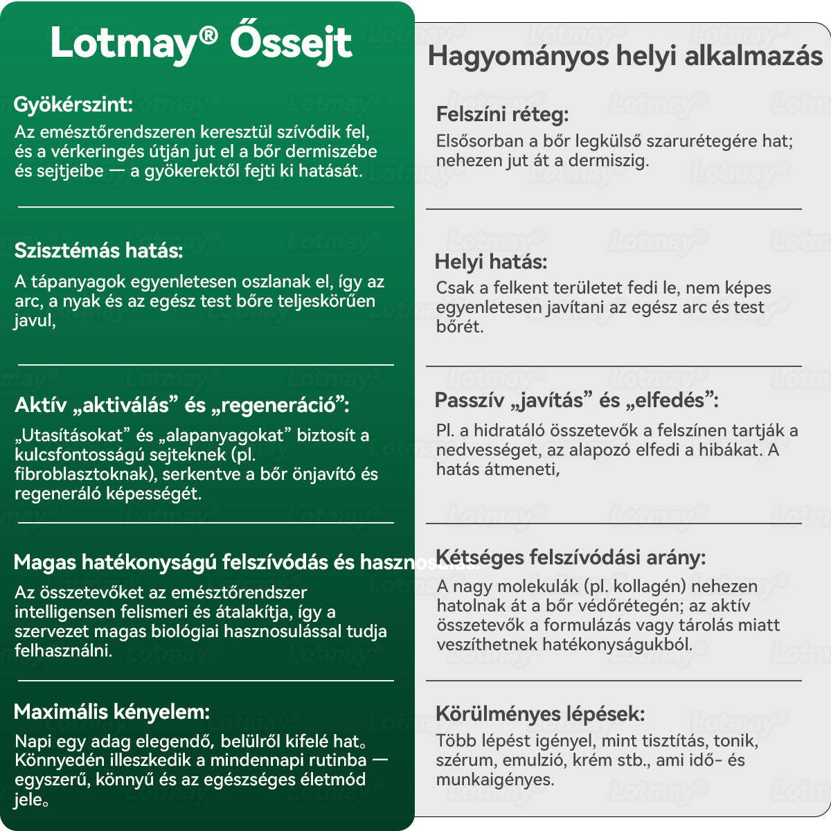 𝑳𝒐𝒕𝑚𝑎𝑦® Ő𝑠𝑠𝑒𝑗𝑡 & 𝐾𝑜𝑙𝑙𝑎𝑔é𝑛 𝑷𝒆𝒑𝒕𝒊𝒅 𝑶𝒓á𝒍𝒊𝒔 𝑪𝒔𝒆𝒑𝒑𝒆𝒌 💧(𝑭𝒆𝒔𝒛𝒆𝒔í𝒕𝒊 𝒂 𝒎𝒆𝒈𝒆𝒓𝒆𝒔𝒛𝒌𝒆𝒅𝒆𝒕𝒕 𝒃ő𝒓𝒕 & 𝑪𝒔ö𝒌𝒌𝒆𝒏𝒕𝒊 𝒂 𝒓á𝒏𝒄𝒌é𝒑𝒛ő𝒅é𝒔𝒕)👍