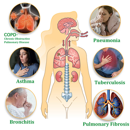 ✅Hivatalos üzlet: Ourlyard™ gyógynövényes tüdőtisztító inhalátor👨‍⚕️FDA-tanúsítvány (💝 Köhögés, sípoló légzés, légszomj, köpet, orrdugulás, hörghurut, hörghurut, allergiás tünetek, tüdő kellemetlen érzés💝)