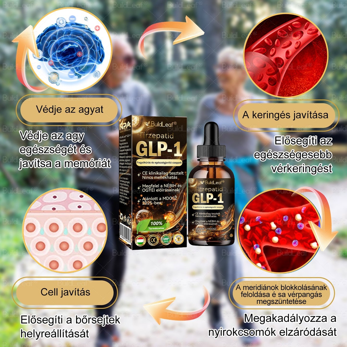 ⭐A Mayo Clinic által ajánlott | Hivatalos üzlet | BuildLeaf® GLP-1 Moringa Fogyókúrás és Egészségfokozó cseppek 🔥 (Élelmiszer-minőségű zsírégető – Az Obesity Society fejlesztése)